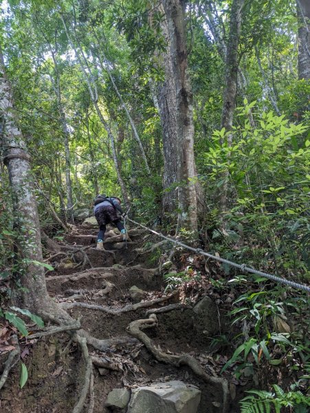 谷關七雄之唐麻丹山2239581