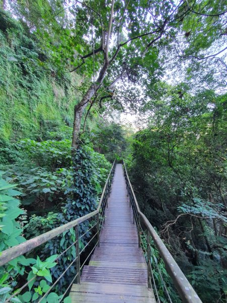 【彰化社頭】十八灣古道&中央嶺造林步道1500545