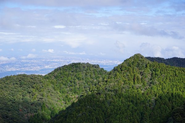 新竹關西鎮 水田林道之貴妃&那結山連走1539689