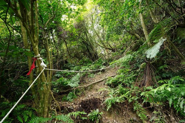 臺北 文山 指南山、猴山岳、魚衡山、大前坑山、猴山坑山、祥光寺後山、金頭山2775002