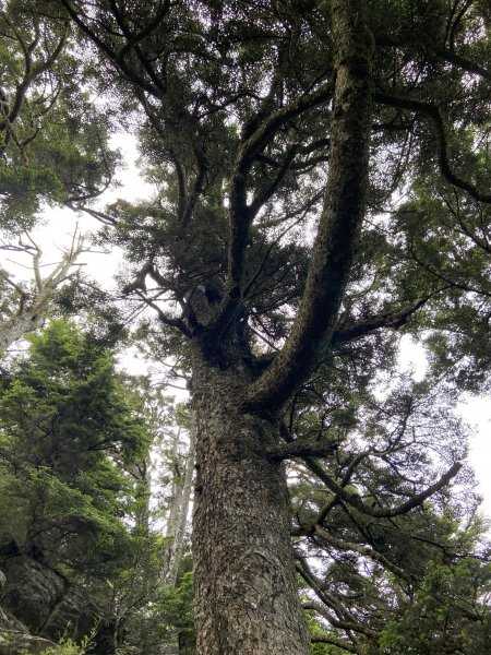 屏風山加碼大鐘塔2280774