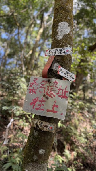20260213 小百岳鳴海山3002975