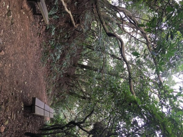 五酒桶山、南崁山2693315