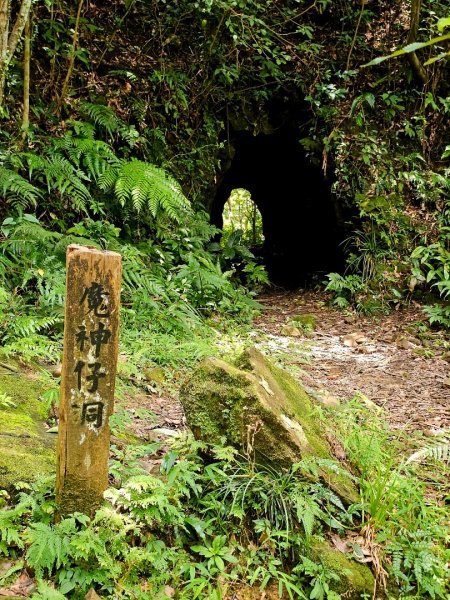 (五分山系)菁桐煤礦-2025微笑山線大縱走尋寶集章任務2855325