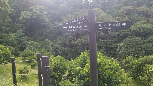 神壽任務尋寶趣-六寮古道1771950