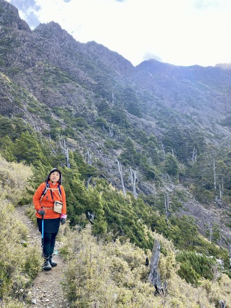 玉山後四峰--完登玉山群峰D3      2022/6/161738537