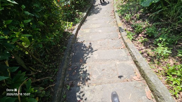 硬漢嶺大崩壁＆占山(尖山)連峰O走3071691