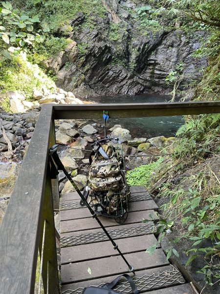 蝶夢八唐搜尋失蹤者 2025.11.252954286