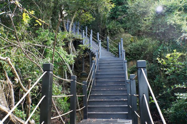 台中 和平 埋伏坪山2924986