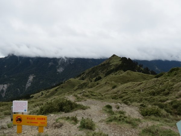 合歡山東峰-尖山-小奇萊-石門山2513104