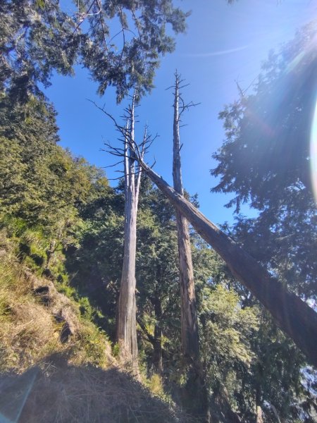 守關山南峰 守關山 守城大山2919158