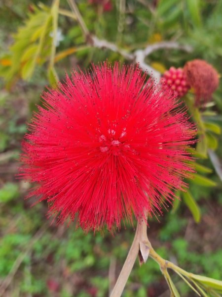 飛沙龍逆走2988877