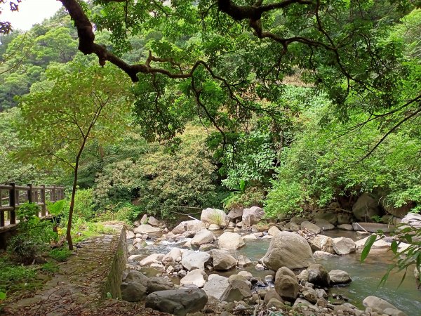 《龍飛鳳舞的龍鳳谷步道》1447203