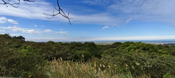 2026/01/25-五酒桶山、山鼻山步道2988101