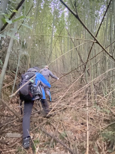 三義銅鑼基石巡禮--伯公龍.大坪凸.模麟坑山.鯉魚石下山.茄苳坑山.老雞隆山.社寮坪山2410060