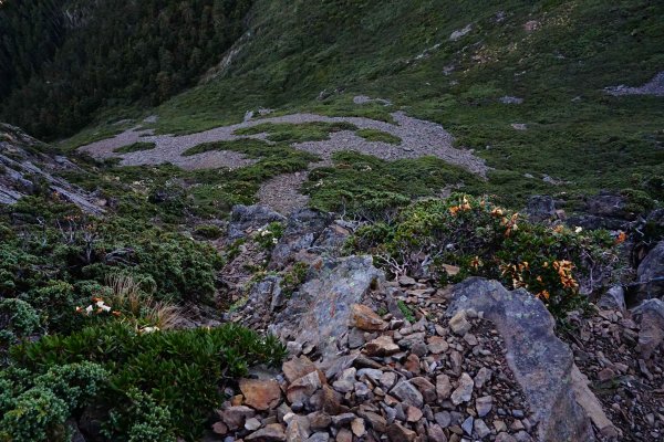 2018-06-02玉山主峰，東峰434183