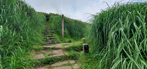 2024-05-04大屯主峰步道2496275