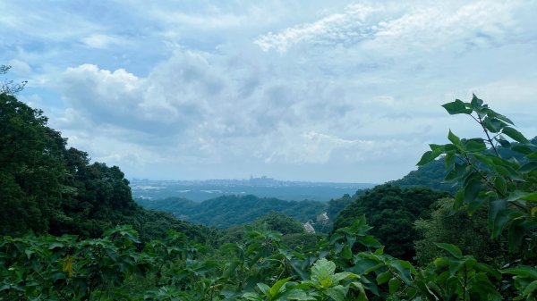 20240616觀音觀鷹尋寶任務福隆山登山步道、林梢步道、牛港稜山登山步道2535533