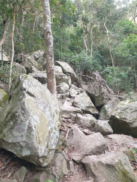 谷關七雄之東卯山1875608