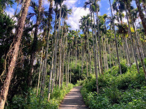 後尖山步道2683553