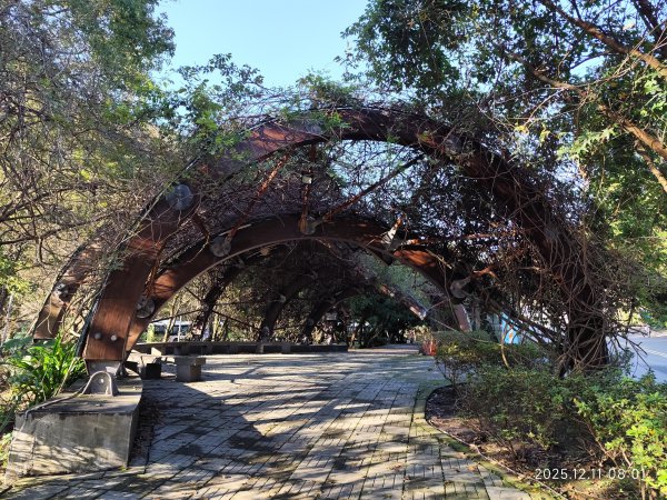 【臺北大縱走 2】【第二回合全程完成證書】鞍部→大屯山步道→大屯山主峰→大屯坪步道→二子坪步道2960343