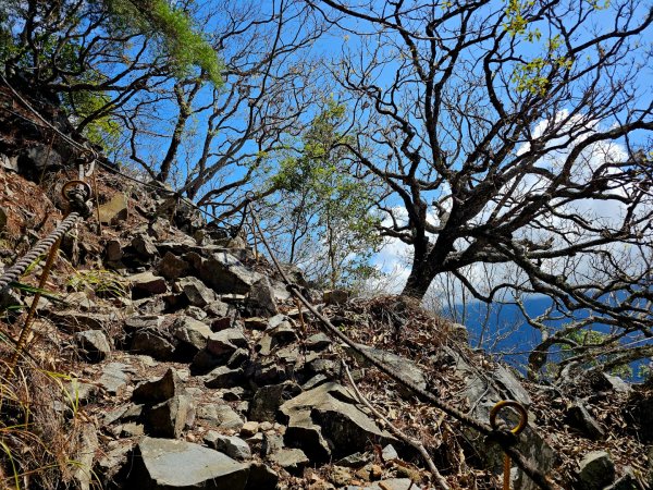 波津加山-谷關七雄(老四)3015169