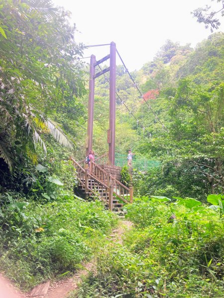 獨立山國家步道2615852