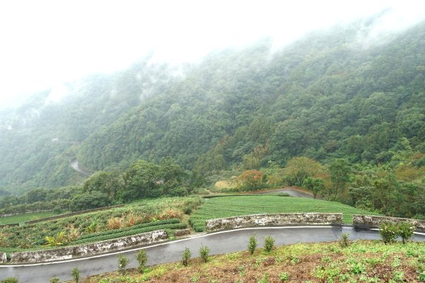 南山寺觀景台3086093