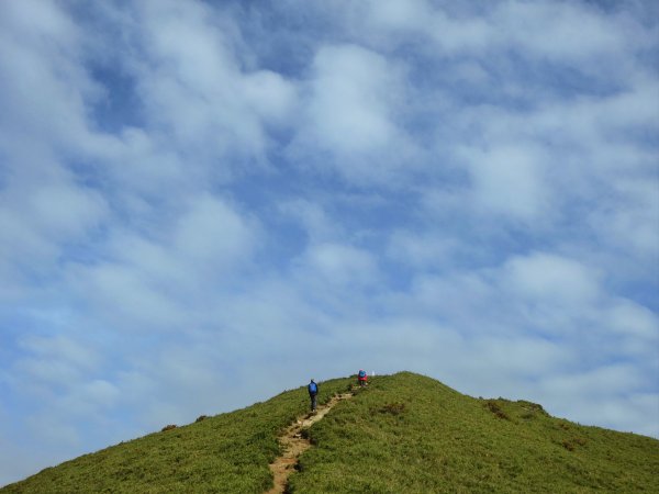 合歡南峰連走合歡主峰 優閒賞花 2022 07 171767751