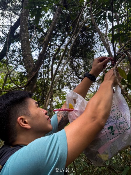 水沙漣古道｜二坪山2979980