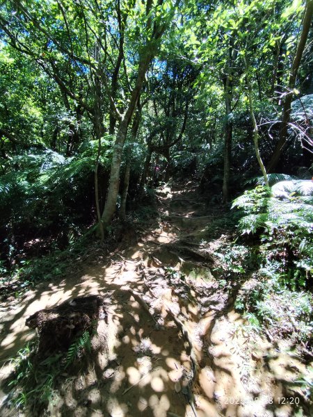 【臺北大縱走 4】大崙頭山北面步道→五指山古道→雙溪溝古道2874377