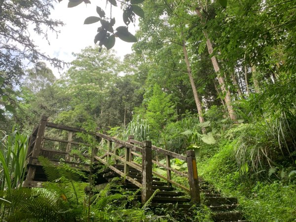 大崎棟古道、騎龍古道2772310
