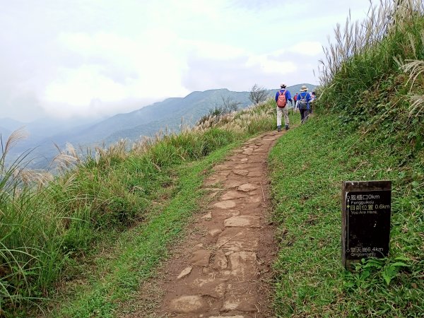 樂活遨遊坪頂古圳步道→荷蘭古道→高頂山→北五指山→頂山→風櫃嘴→天溪園→聖人橋1509483