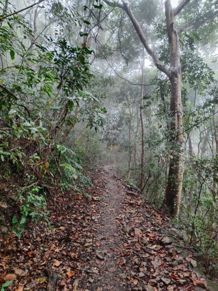 谷關老八阿冷山2699782
