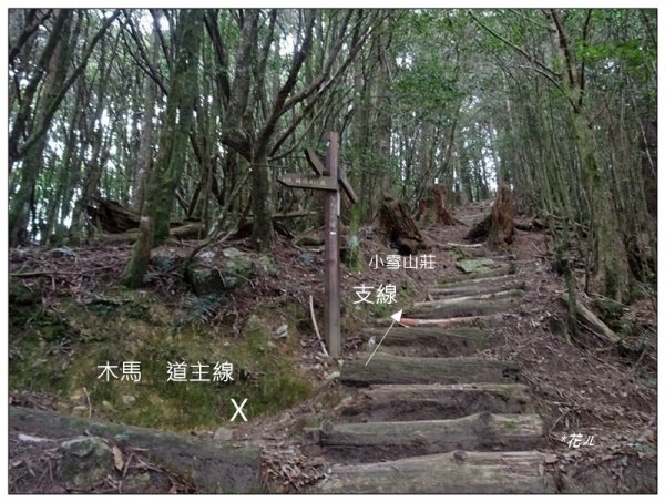 鞍馬山、鞍馬山東北峰(台中/和平)1653605