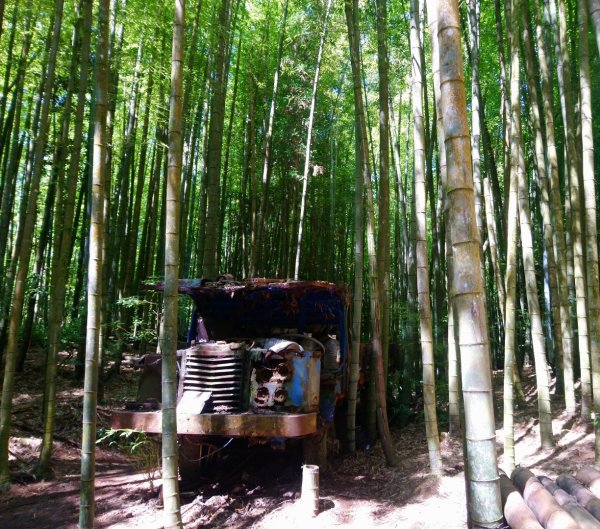 鳶嘴西稜O走（大崠山、長壽山、鳶嘴山）1073404