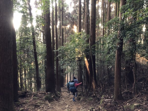 【杜鵑嶺上加里山】陪著孩子一起上山的大朋友1349247