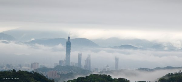 #陽明山 #琉璃光 #紅斑蛇 #新店四十份 #雲瀑 #翡翠水庫壩頂 #日出 #雲海 4/16&183037631