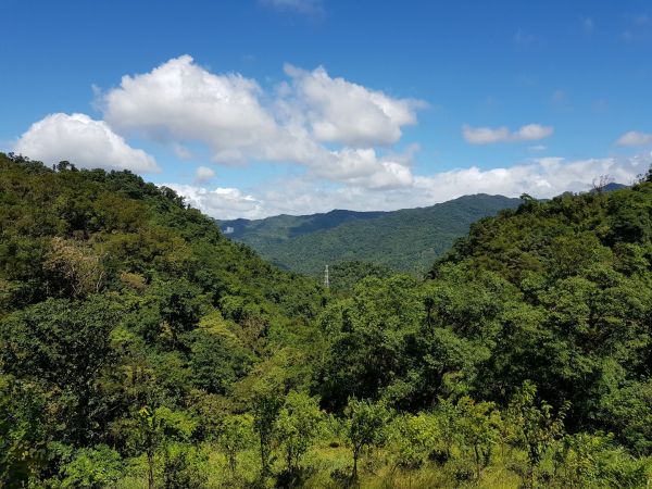 2018.07.16 土城三粒半、天上山408508