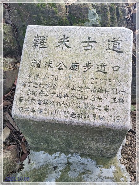 台北大縱走1495039