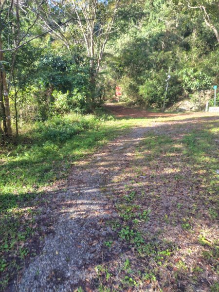 多納六秀 京大山2957578