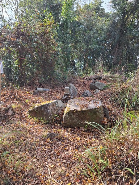 盡尾山202512252971999