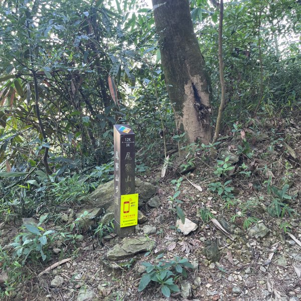 20151117_尾寮山（屏東小百岳）2941599