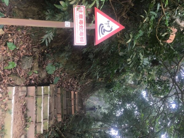 龍麟山步道（王爺崙2703659