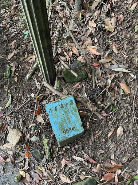 觀音山秘境2634078