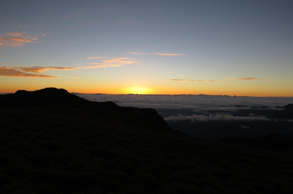 【步道小旅行】登山新手之能高越13K.奇萊南峰日出雲海4381