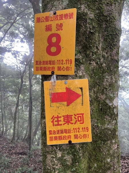 東河線上鵝公髻山，至鳥嘴山後下大窩山部落 2024.8.182577502