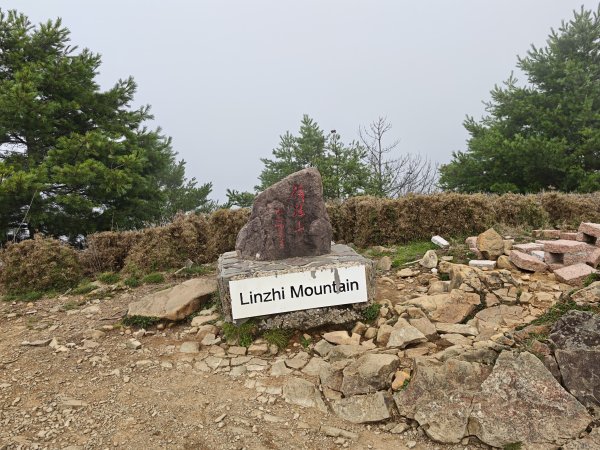 [山海圳_聖山之路_第二段3/4] 2026_0802 麟趾山3109259
