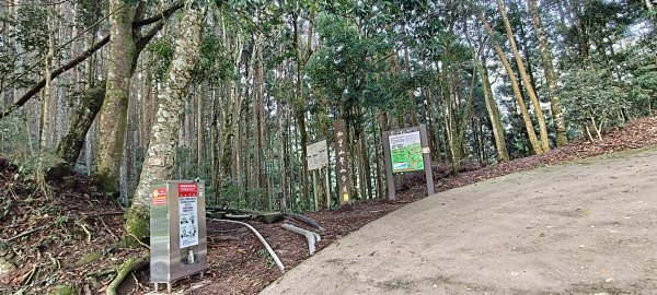 2025/04/04_加里山登山步道2755023