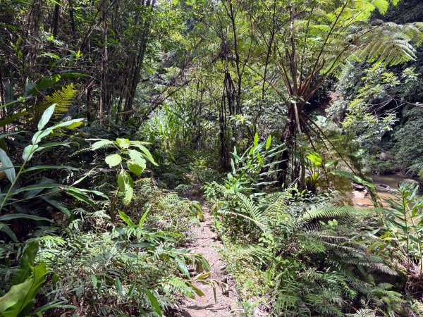 四寮溪生態步道2828553